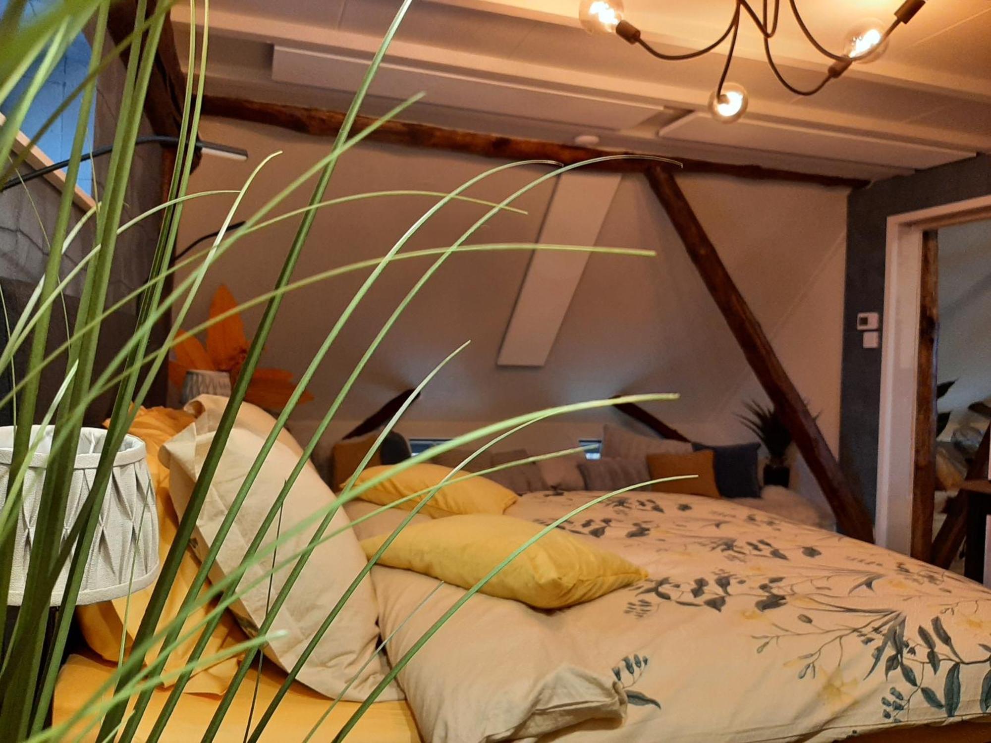 Loft De Hooizolder Met Sauna Bij Te Boeken Gees Exterior photo